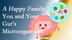 Aurora Chiropractic Center considers the health of the gut&rsquo;s microbiome as it relates to diseases like arthritis, back pain, inflammation, and more when establishing a Juneau chiropractic treatment plan.