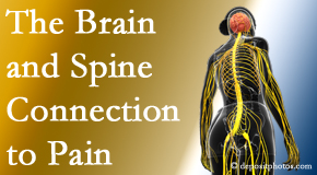 Aurora Chiropractic Center looks at the connection between the brain and spine in back pain patients to better help them find pain relief.
