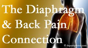 Aurora Chiropractic Center recognizes the relationship of the diaphragm to the body and spine and back pain. 