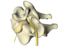 cervical spine no pain with Juneau chiropractic 