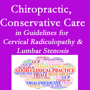 Juneau chiropractic care for cervical radiculopathy and lumbar spinal stenosis is often ignored in medical studies and recommendations despite documented benefits. 