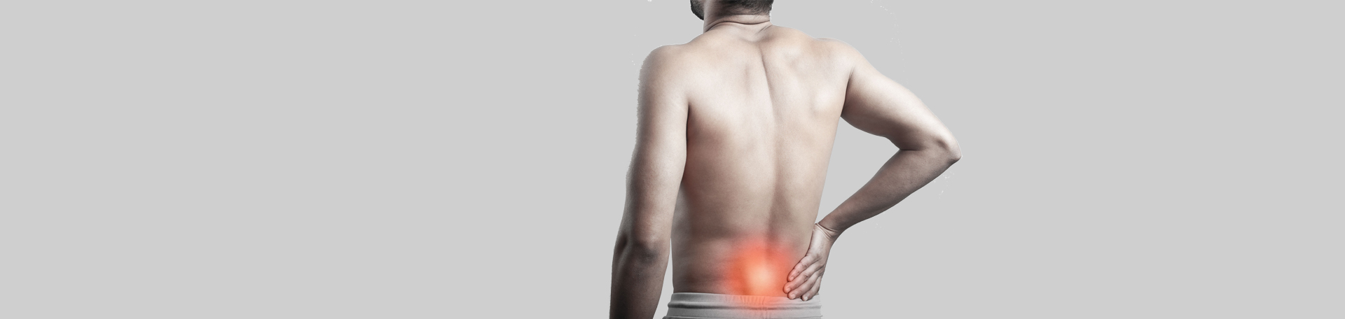 Juneau back paraspinal muscles