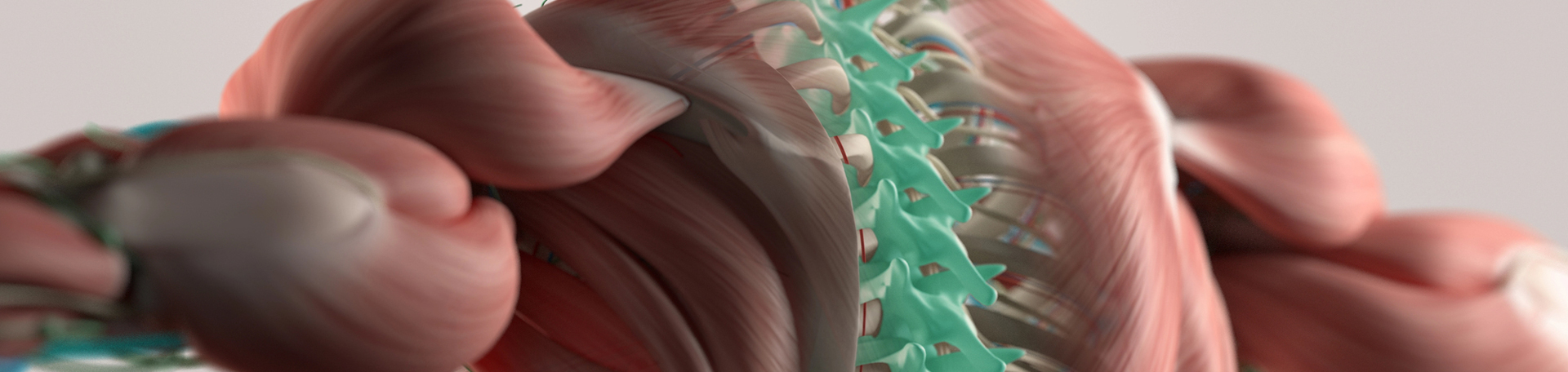 Juneau thoracic spine