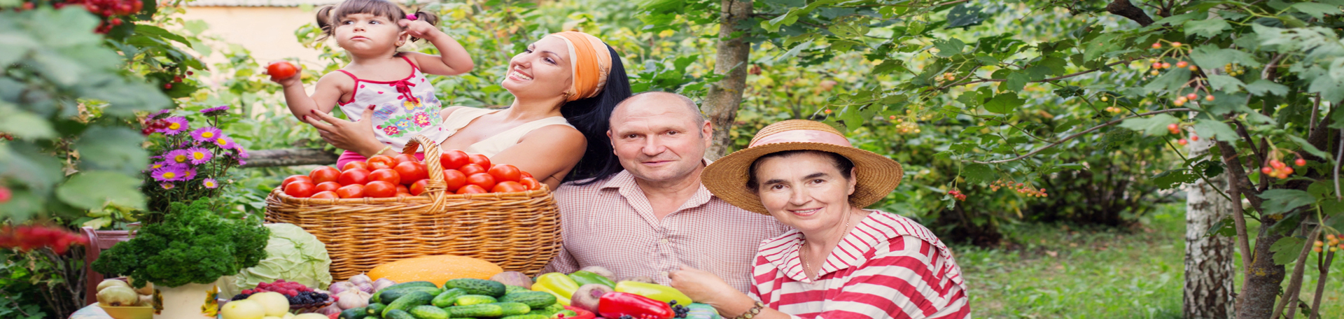  Juneau chiropractic summer health tips