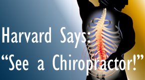 Juneau chiropractic for back pain relief urged by Harvard