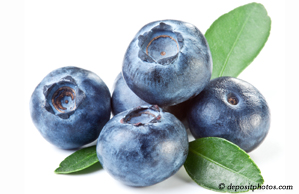 Juneau chiropractic and nutritious blueberries