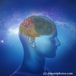 picture of a brain for cognition influenced by balance that Juneau chiropractic can help 